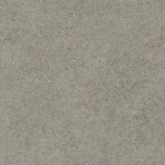 Керамогранит Atlas Concorde Forte Dei Marmi Rock Lunar Grey 20 mm 60x60 610010005836
