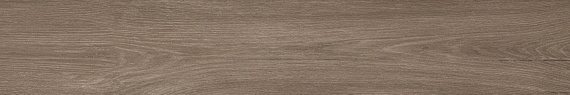 Керамогранит Atlas Concorde Fusion Oak Rustic 20x120 610010003132
