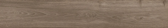 Керамогранит Atlas Concorde Fusion Oak Rustic 20x120 610010003132