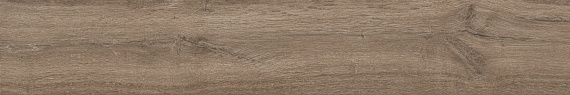 Керамогранит Atlas Concorde Fusion Oak Rustic Grip 20x120 610010003140