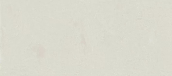 Керамогранит Atlas Concorde Rinascente Resin White 120x278 600180000055