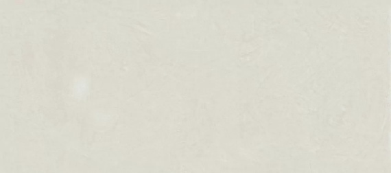 Керамогранит Atlas Concorde Rinascente Resin White 120x278 600180000055