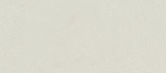 Керамогранит Atlas Concorde Rinascente Resin White 120x278 600180000055