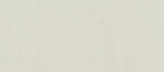 Керамогранит Atlas Concorde Rinascente Resin White 120x278 600180000055