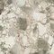 Керамогранит Atlas Concorde Russia 610010002723 Forte Dei Marmi Ceppo Apuano Cream Rett 80x80