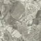 Керамогранит Atlas Concorde Russia 610010002722 Forte Dei Marmi Ceppo Apuano Pearl Rett 80x80