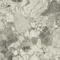 Керамогранит Atlas Concorde Russia 610010002722 Forte Dei Marmi Ceppo Apuano Pearl Rett 80x80