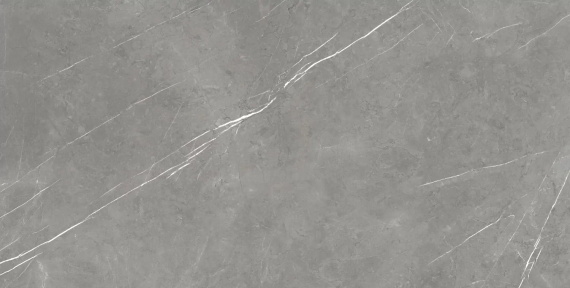 Керамогранит Atlas Concorde Russia 610010002710 Forte Dei Marmi Elegant Grey Rett 80x160
