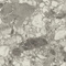 Керамогранит Atlas Concorde Russia 610010002714 Forte Dei Marmi Ceppo Apuano Pearl Rett 80x160