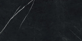 Керамогранит Atlas Concorde Russia 610015000659 Forte Dei Marmi Elegant Black Rett Cer 60x120