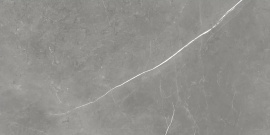 Керамогранит Atlas Concorde Russia 610015000657 Forte Dei Marmi Elegant Grey Rett Cer 60x120