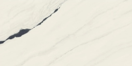 Керамогранит Atlas Concorde Russia 610015000656 Forte Dei Marmi Panda White Rett Cer 60x120