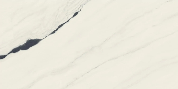 Керамогранит Atlas Concorde Russia 610015000656 Forte Dei Marmi Panda White Rett Cer 60x120