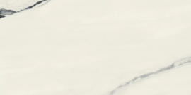Керамогранит Atlas Concorde Russia 610015000656 Forte Dei Marmi Panda White Rett Cer 60x120
