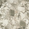 Керамогранит Atlas Concorde Russia 610015000654 Forte Dei Marmi Ceppo Apuano Cream Lapp 80x80