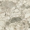 Керамогранит Atlas Concorde Russia Forte Dei Marmi Ceppo Apuano Cream Lapp 80x160