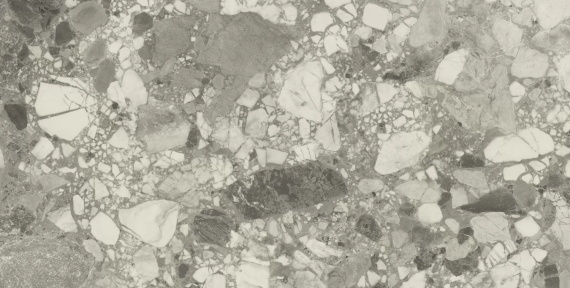 Керамогранит Atlas Concorde Russia 610015000669 Forte Dei Marmi Ceppo Apuano Pearl Lapp 80x160