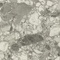 Керамогранит Atlas Concorde Russia 610015000669 Forte Dei Marmi Ceppo Apuano Pearl Lapp 80x160