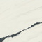 Керамогранит Atlas Concorde Russia 610015000664 Forte Dei Marmi Panda White Lapp 80x160
