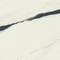 Керамогранит Atlas Concorde Russia 610015000664 Forte Dei Marmi Panda White Lapp 80x160