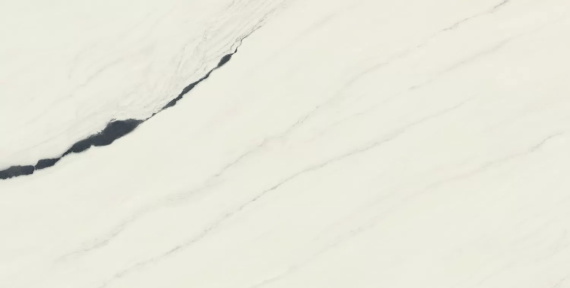 Керамогранит Atlas Concorde Russia 610015000664 Forte Dei Marmi Panda White Lapp 80x160