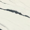 Керамогранит Atlas Concorde Russia 600180000037 Forte Dei Marmi Panda White Lapp 120x278