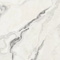 Atlas Concorde 610010002966 Russia Forte Dei Marmi Quark Oyster White Rett 80x80