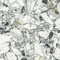 Atlas Concorde Russia 610010002971 Forte Dei Marmi Quark Ceppo Apuano Forest Rett 80x80