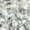 Atlas Concorde Russia 610015000695 Forte Dei Marmi Quark Ceppo Apuano Forest Lapp 80x160