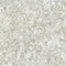 Atlas Concorde Russia 600180000054 Forte Dei Marmi Quark Brazilian White 120x278