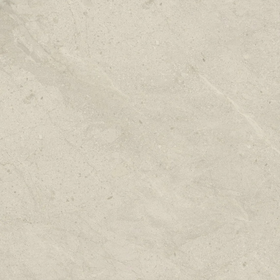 Керамогранит Италон Статус Артик 120x120 рет 610010006213