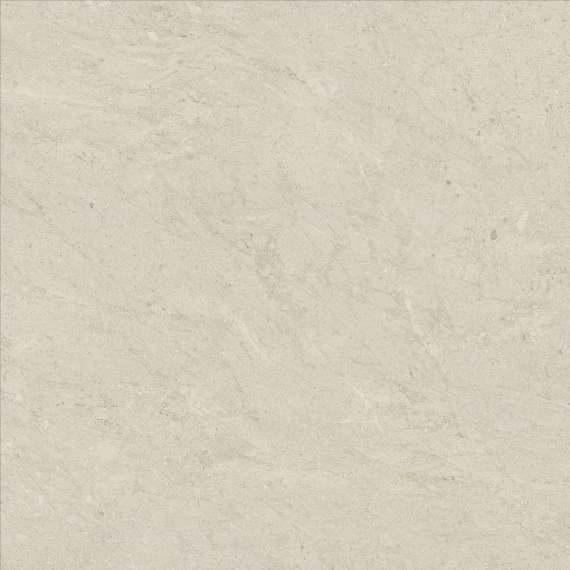 Керамогранит Италон Статус Артик 120x120 рет 610010006213