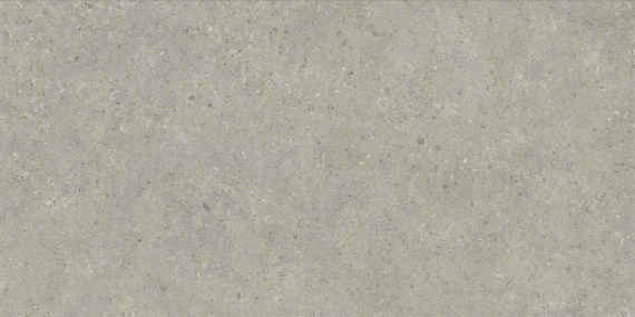 Керамогранит Италон Статус Карбон 60x120 610010006211