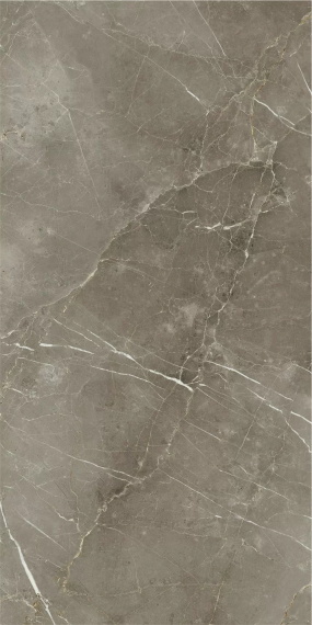Italon 610010002843 Stellaris Tuscania Grey 80x160