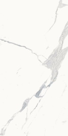 Italon 610010002831 Stellaris Statuario White 60x120