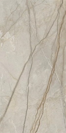 Italon 610010002835 Stellaris Elegant Silver 60x120