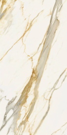 Italon 610010002832 Stellaris Calacatta Gold 60x120