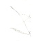 Керамогранит Culto White Marble 60x120