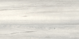 Облицовочная плитка ECTA WHITEWOOD матовый 20x40