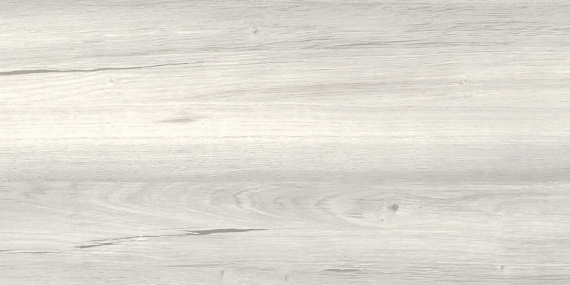 Облицовочная плитка ECTA WHITEWOOD матовый 20x40