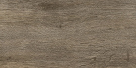 Облицовочная плитка ECTA ASHWOOD матовый 20x40