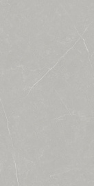 Керамогранит Primavera Фенгари 60x120 матовый TP612M002