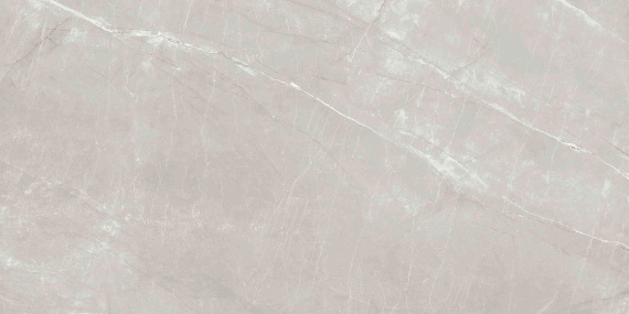 Керамогранит Ennface Alaska Grey (Облачная Аляска) MATT ENSTN7004MT60120 60x120