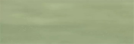 Керамогранит Ennface Camelot Olive (Оливковый Камелот) GLOSSY ENCLR6042GL722 7.5x22.5