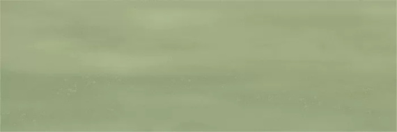 Керамогранит Ennface Camelot Olive (Оливковый Камелот) GLOSSY ENCLR6042GL722 7.5x22.5