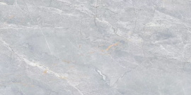 Керамогранит Ennface Fenix Silver (Серебряный феникс) Carving ENSTN3204CR80160 80x160