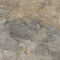 Керамогранит Ennface Moriox Grey (Мориокс серый) Matt ENSTN7011MT120280 120x278
