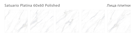 Керамогранит Staro Satuario Platina Polished 60x60 С0003688