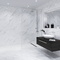 Керамогранит Staro Satuario Platina Polished 60x60 С0003688