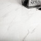Керамогранит Staro Satuario Platina Polished 60x60 С0003688